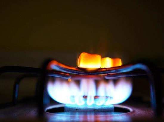 ПсковГУ потратит 257 тысяч  на покупку газовых плит для двух общежитий