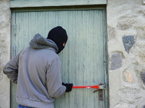Полиция задержала пару домушников в Борзинском районе