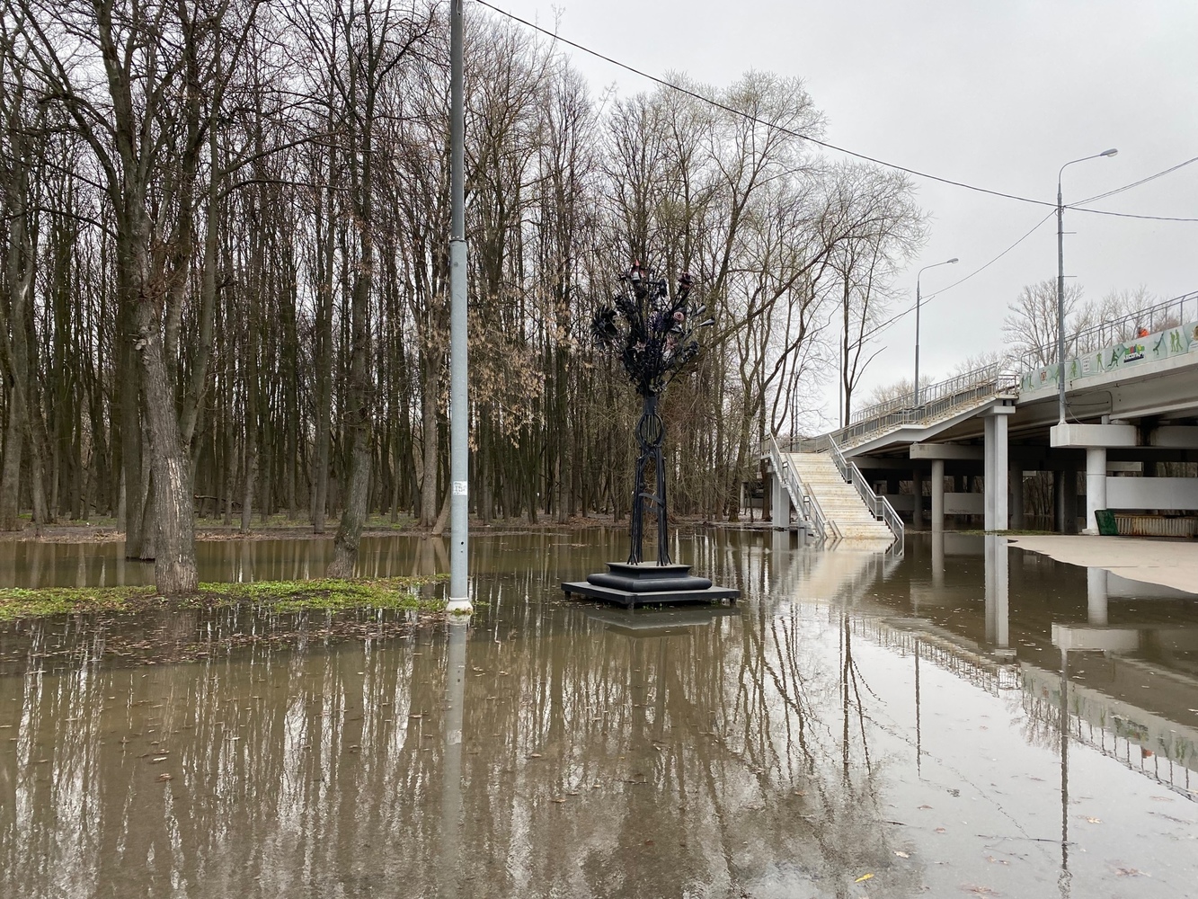 Г рязань вода. Лесопарк разлив Рязань. Рязань лесопарк затоп. Затопление лесопарка в Рязани. Лесопарк Рязань 2022.