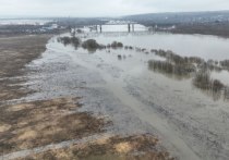 За два дня уровень воды в реке Ока в окрестностях Серпухова упал на 45 сантиметров