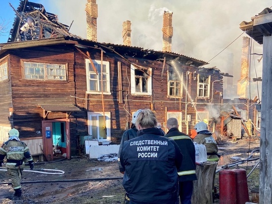 Обнаруженные на пепелище в Малой Вишере тела отправят на судмедэкспертизу