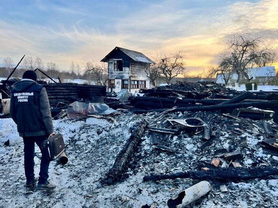 У новгородского Следкома все чаще возникают вопросы к родителям и органам опеки