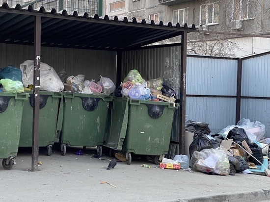 Кучи отходов заметили новосибирцы на улицах после забастовки мусорщиков