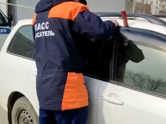 Новосибирские спасатели высвободили 7-летнюю девочку из запертой машины