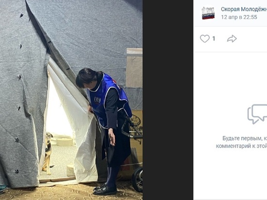 Белгородцы смогут помочь животным, приехавшим вместе с хозяевами из ЛДНР и Украины