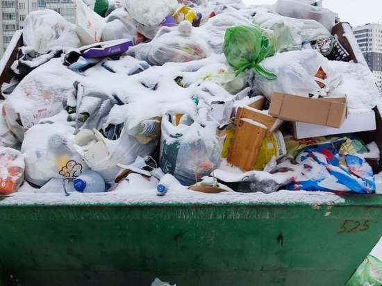 Правила сбора и утилизации мусора планируют жестко регламентировать в Ленобласти