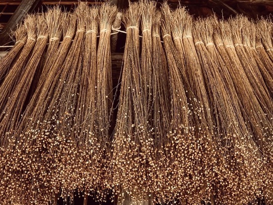 Радий Хабиров рассказал, какой товар оказался очень востребован в Китае