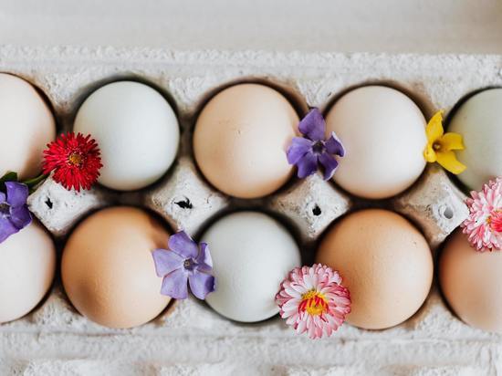 Забайкальские производители обеспечивают край яйцом только на 21%