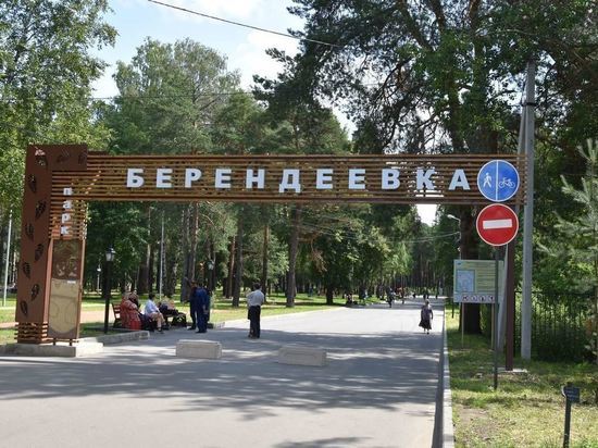 Костромской парк «Берендеевка» вновь обзаведется каруселями