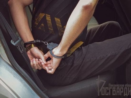 В Пензе задержали пьяного хулигана,  избивавшего автомобили