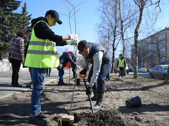Мэр Вологды вместе с артистами театров высадил рябиновую аллею