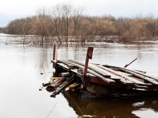 Уровень воды в реках Ленобласти начал спадать после половодья