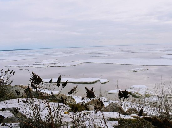 Верховья реки Онеги очистились ото льда