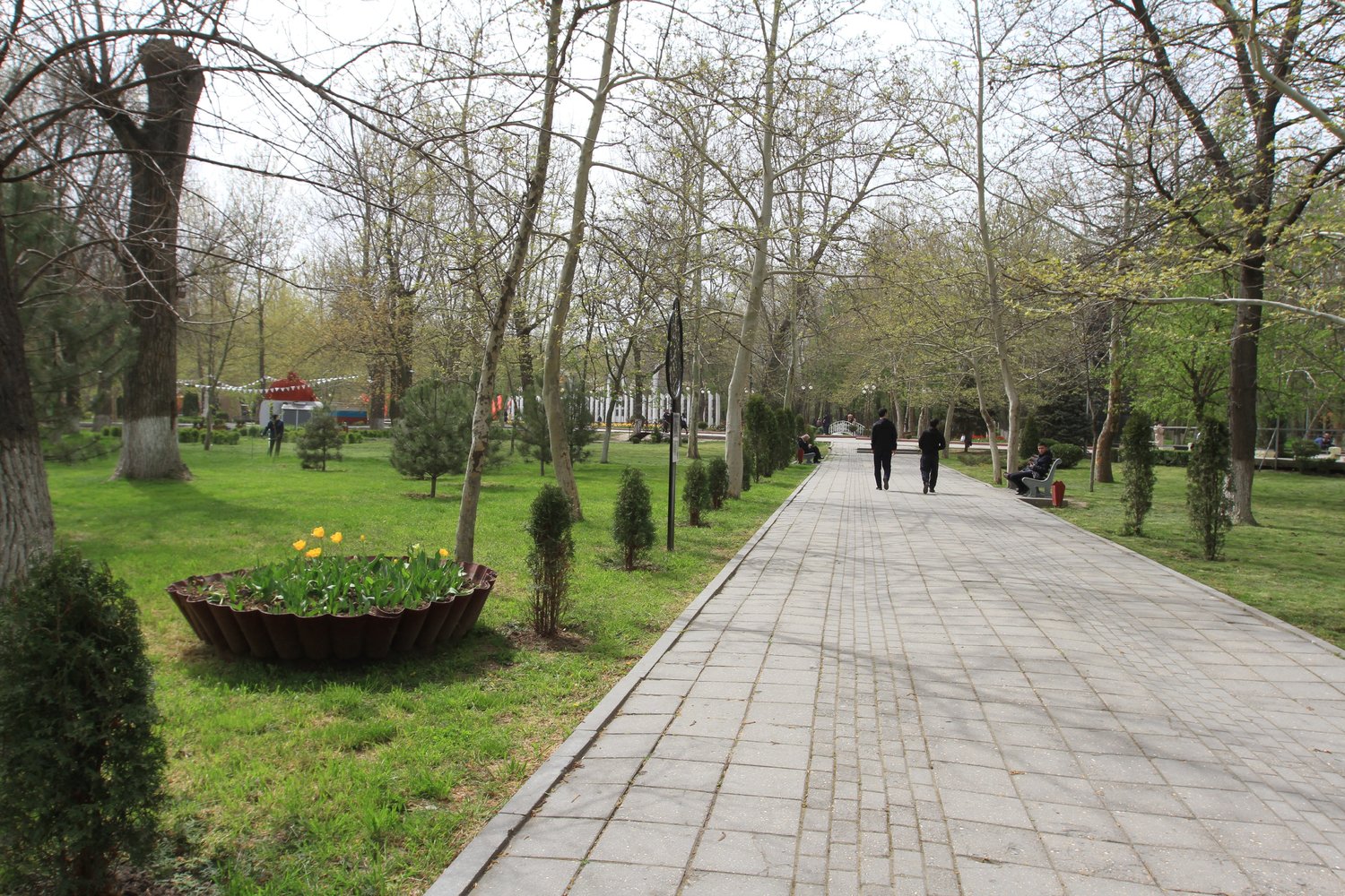 Парк в ленинском районе