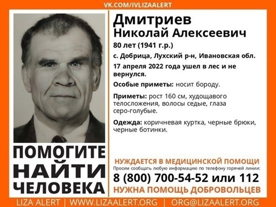 В Ивановской области ищут "лесного" потеряшку