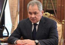 Президент России Владимир Путин обратился к министру обороны Сергею Шойгу с просьбой представить российских военных к наградам за освобождение Мариуполя
