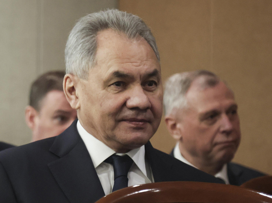 Шойгу заявил, что в «Азовстали» заблокированы 2000 украинских боевиков