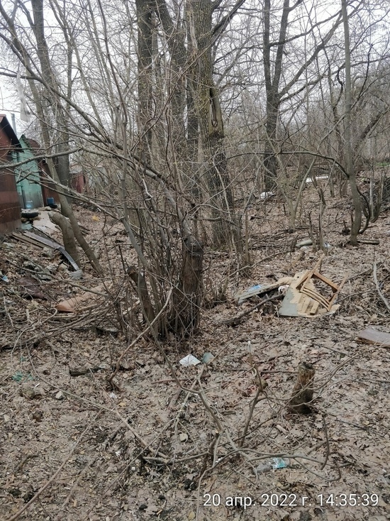 В Пензе Арбековский лес превратили в мусорный полигон