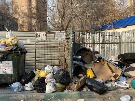 Правоохранители начали обыски в "Эко Транс-Н" в Новосибирске по делу о забастовке мусорщиков