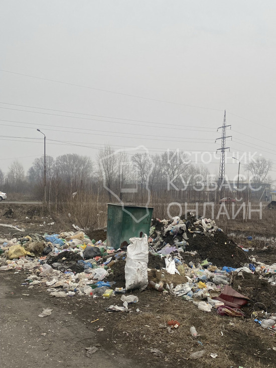 Жительница кузбасского города пожаловалась на разлетающийся мусор