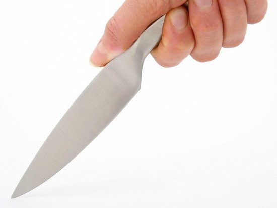 Отсидевшая за убийство белгородка накинулась с ножом на сожителя