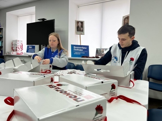Белгородским ветеранам помогут в рамках акции «Красная гвоздика»