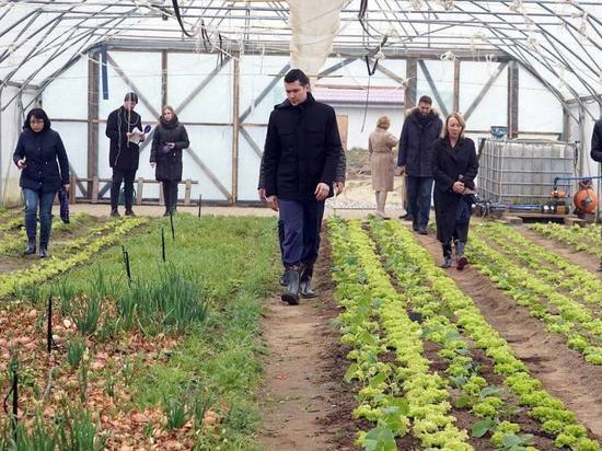 Алиханов посетил кооператив «Зеленоградский», который снабжает область редисом и мятой