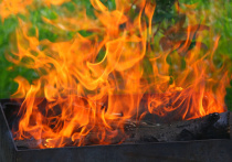Житель Саратова скончался через шесть дней после получения 95% ожогов тела при  разжигания мангала в Люберецком районе Подмосковья