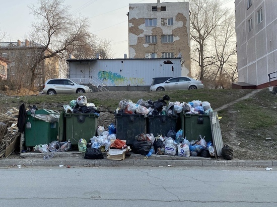 «Экология-Новосибирск» заявила о возобновлении вывоза мусора