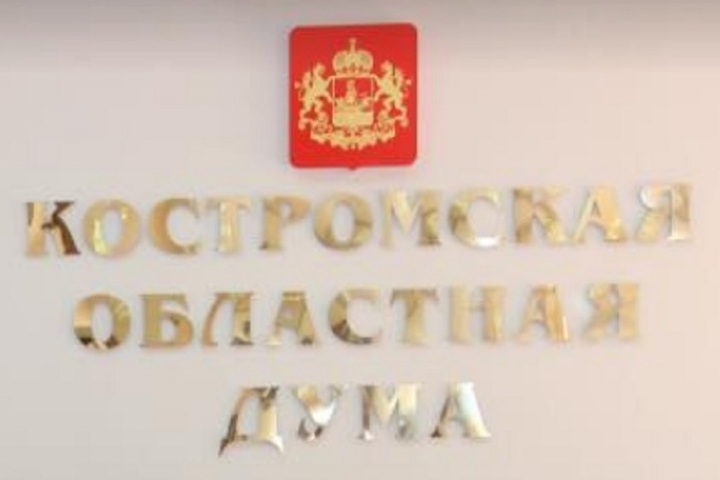 Костромские депутаты запретили себе второе гражданство и иностранное финасирование выборов