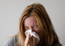 Эксперты ожидают, что в этом году сезон весенне-летней аллергии будет очень тяжелым — и потому, что иммунитет у многих людей ослаблен сидением взаперти и долгим ношением масок, и потому, что симптомы аллергии во многом схожи с симптомами COVID-19, и многие пациенты в растерянности не знают, что же с ними происходит