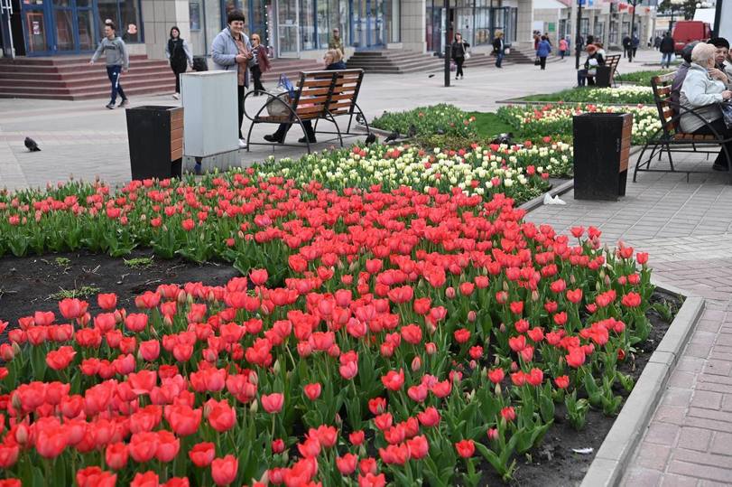 Весна в белгороде картинки