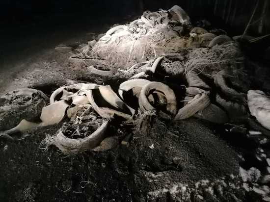 Завод в Новокузнецке навредил экологии и получил крупный штраф