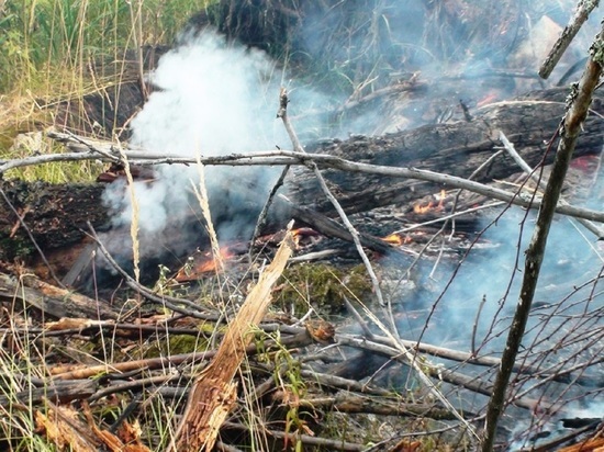 Первые лесные возгорания ликвидировали в Свердловской области