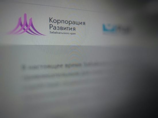 Корпорация развития края Забайкалья не прокомментировала закупку люксового авто