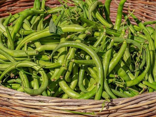Низкая цена за фасоль повергла в шок кузбассовцев
