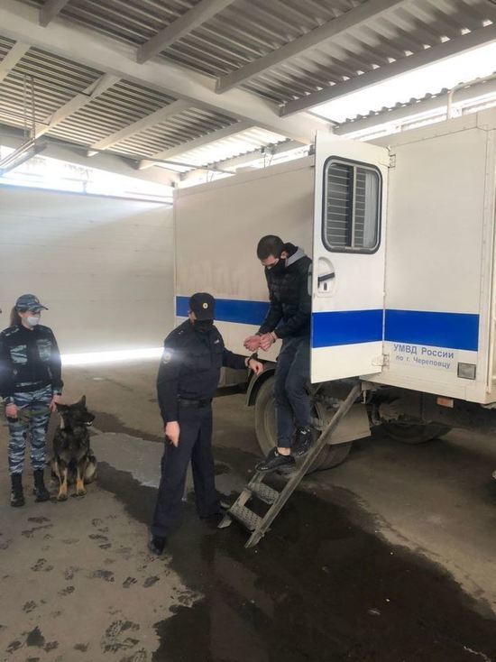 В Череповце задержали мошенника – участника аферы «родственник попал в ДТП»