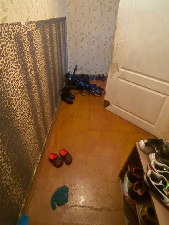 Под Воронежем в сельском доме найдены тела двух мальчиков: в убийстве подозревается мать