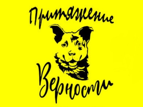 В Ярославле пройдет кросс владельцев собак вместе с питомцами