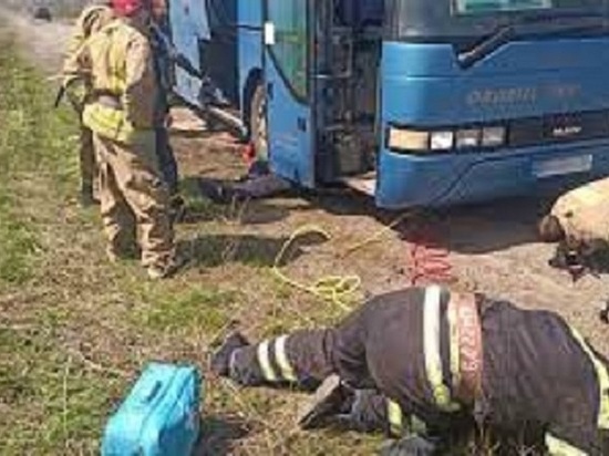 В Кирове врачи четыре раза оперировали мужчину, придавленного автобусом