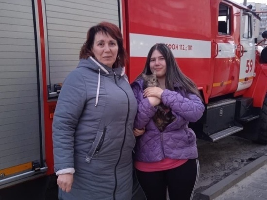 Белгородские спасатели помогли кошке спуститься с козырька магазина