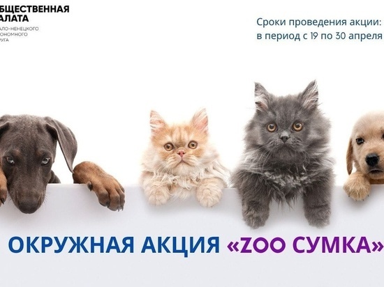 Корм и лекарства для приютских животных собирают во всех городах и районах ЯНАО