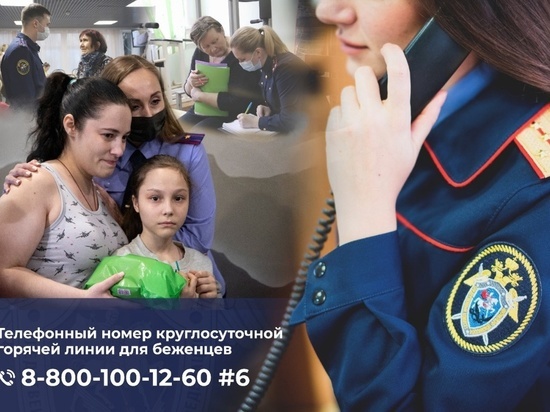 В Курской области беженцы из ДНР и ЛНР могут задать вопросы в СК по горячей линии