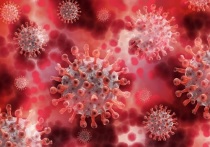 За последние 24 часа на территории России было выявлено 8 829 подтвержденных случаев коронавируса
