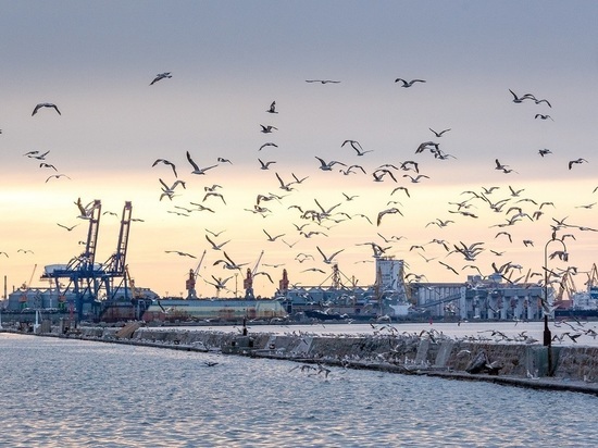 Илья Кива: Киев смирился с потерей всех портов и выхода к морю