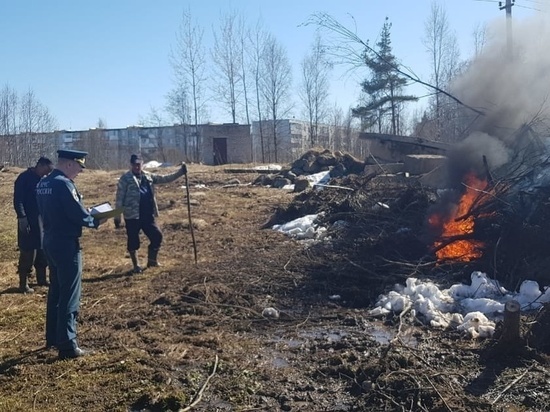 В МЧС по Новгородчине рассказали, как правильно разводить огонь на природе