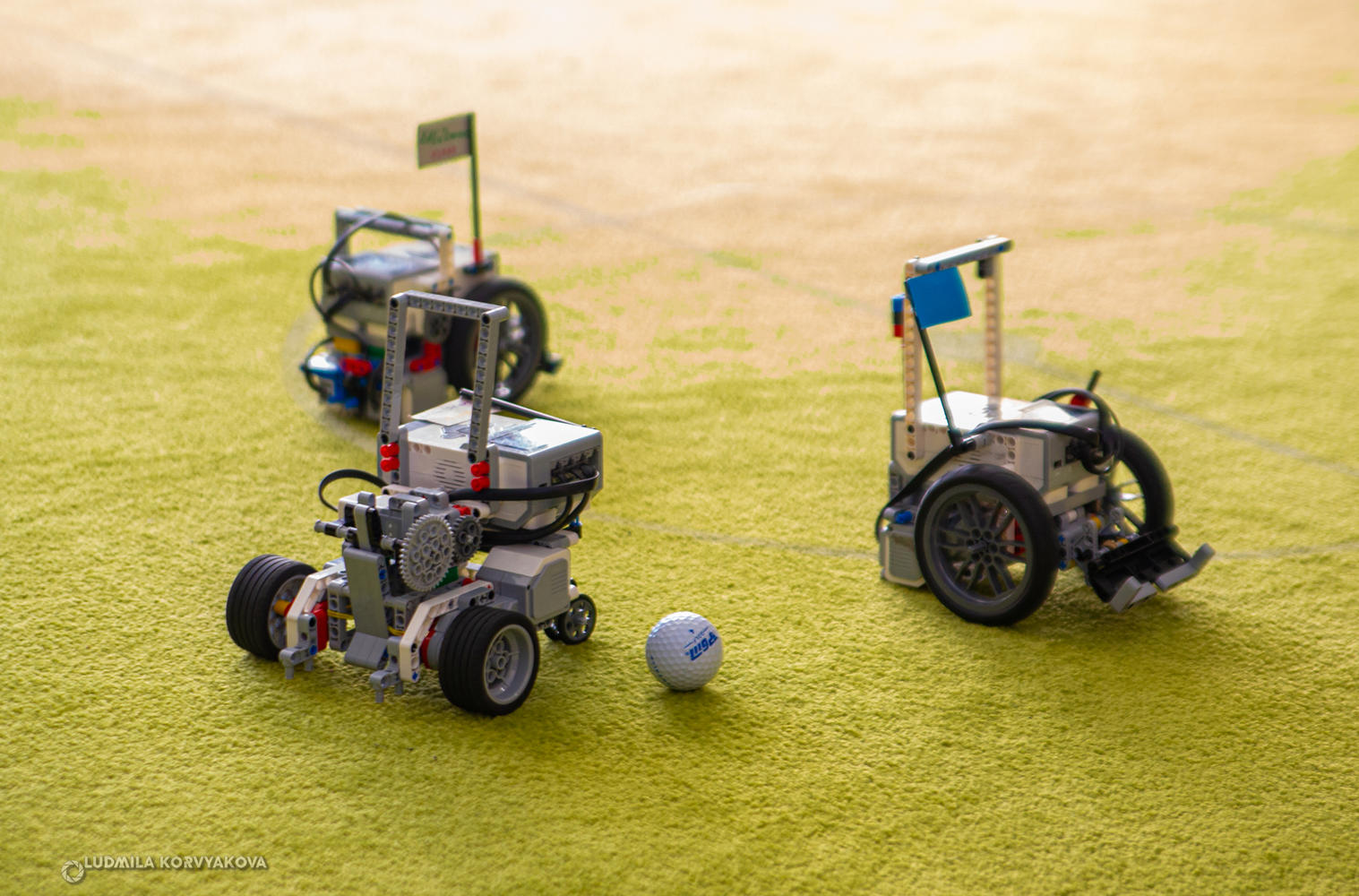 Роботы сумоисты, футболисты, гонщики: соревнования по робототехнике завершились в Петрозаводске