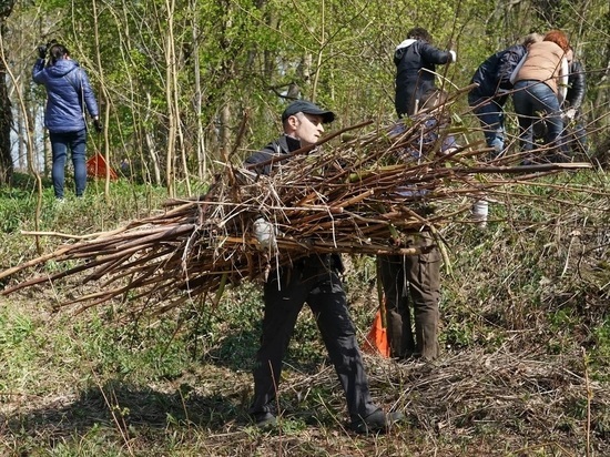 Калининградцы назовут парк в начале улицы Гагарина, обещенный Алихановым