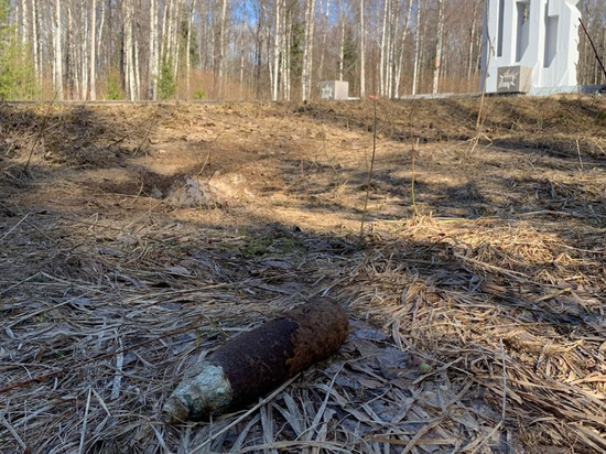 Старый снаряд обнаружили во время субботника в Ломоносовском районе
