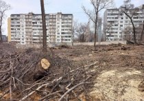 Одиозное решение о трансформации хабаровского Дендрария в «Зеленый парк» вызвало живой отклик общественности
